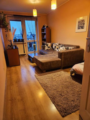 Gracious stay shared apartment